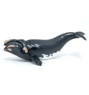FIGURA BALLENA BOREAL ( PAPO ) 56057