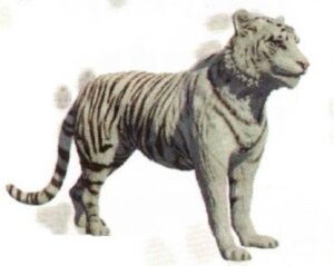 FIGURA TIGRE DE BENGALA BLANCO
