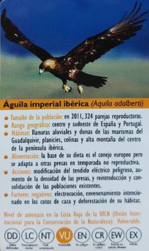 FIGURA AGUILA IMPERIAL IBERICA