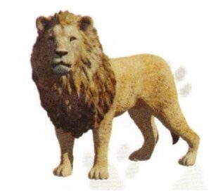 FIGURA LEÓN