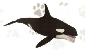 FIGURA ORCA
