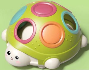 TORTUGA COORDINACION