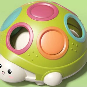 TORTUGA COORDINACION