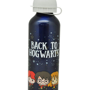 CANTIMPLORA ALUMINIO HARRY POTTER 500ML