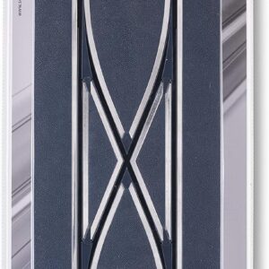 Pista Cambio de Carril (2)