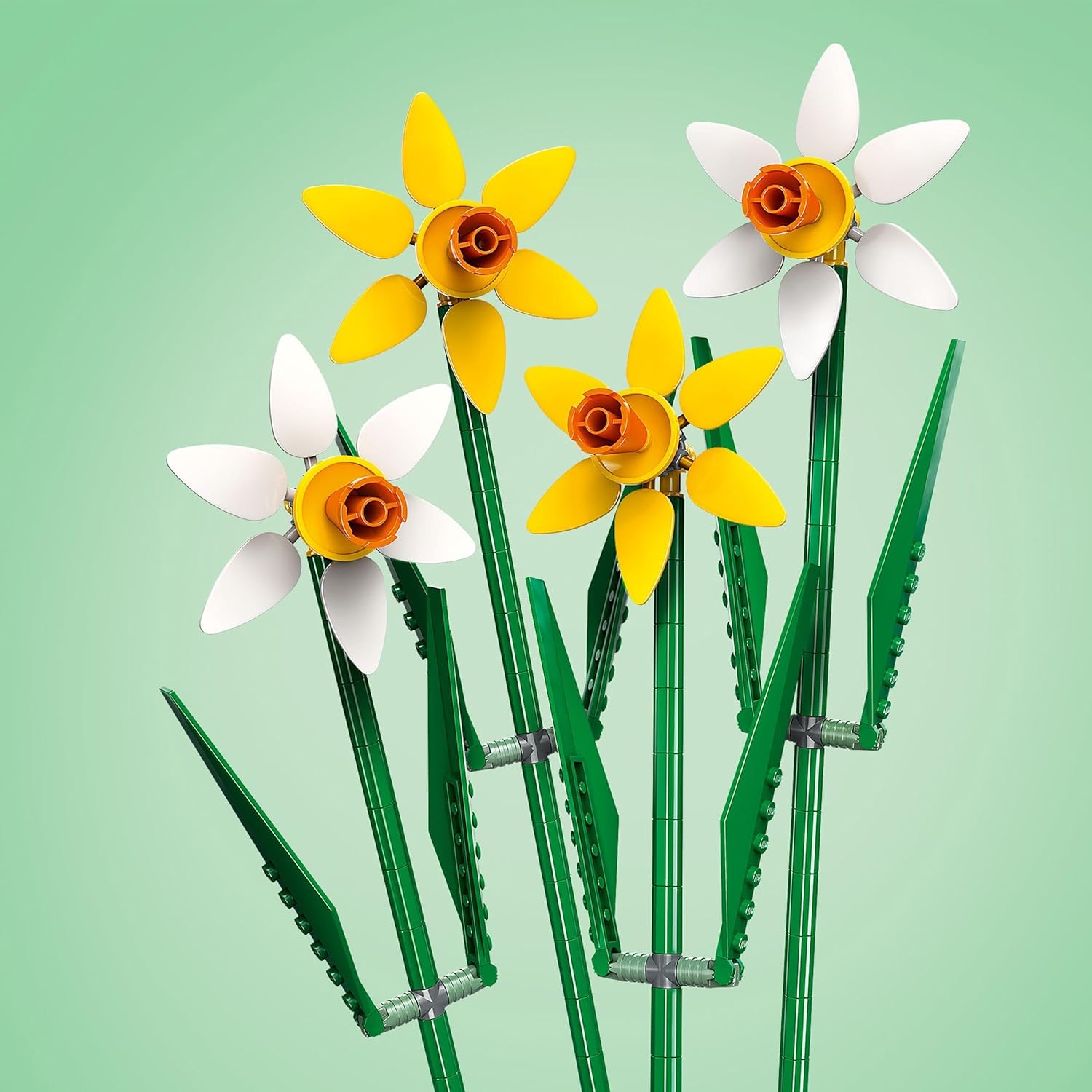 Narcisos - Imagen 3