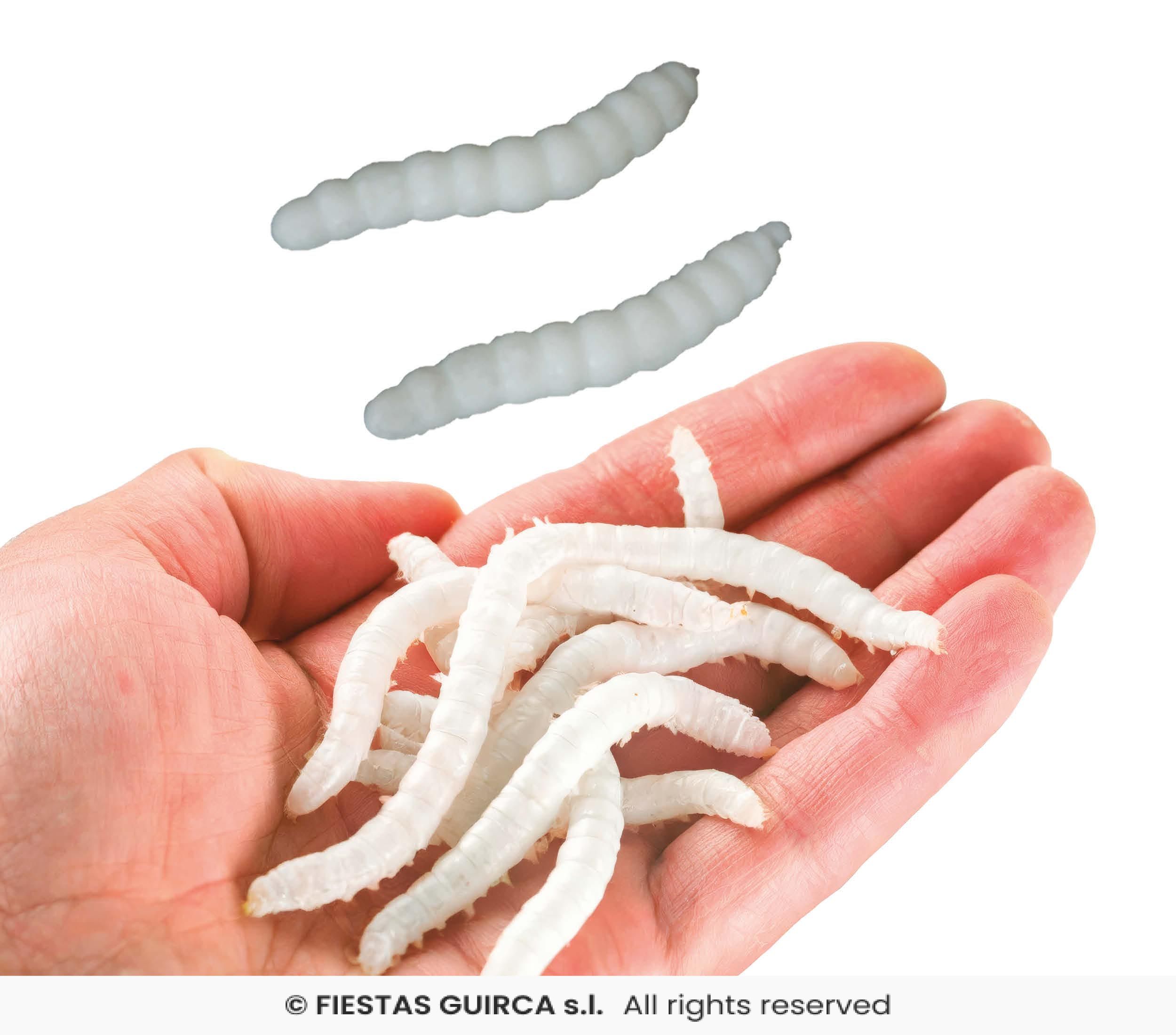 BLISTER 20 GUSANOS ELASTICOS 4 CMS