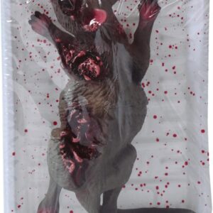 BANDEJA RATA 19X12 CMS