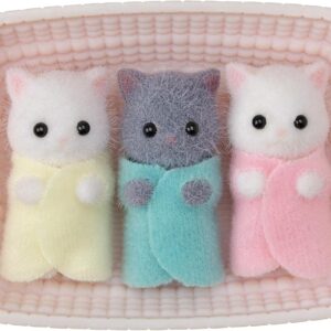 Trillizos Gato Persa