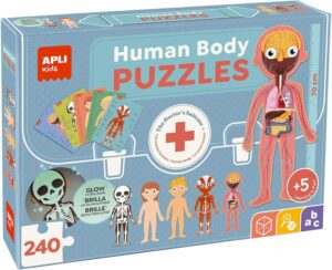 Puzzles educativos Cuerpo Humano