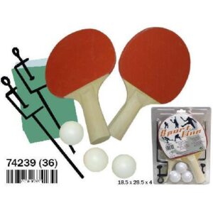 Blister de Raquetas de Ping Pong con pelotas y red
