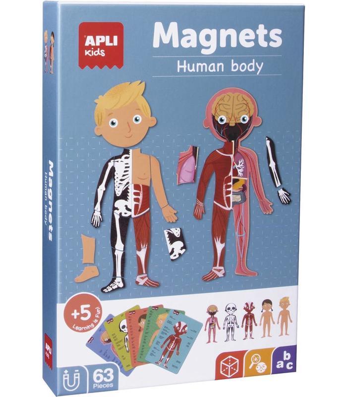 Juego didactico magnetico cuerpo humano