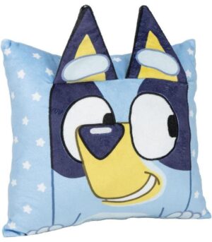 Cojin Bluey 30x30 Cm Infantil