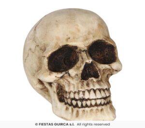 CALAVERA RESINA 8 CMS