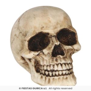 CALAVERA RESINA 8 CMS
