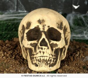 CALAVERA FOAM 22 CMS. 