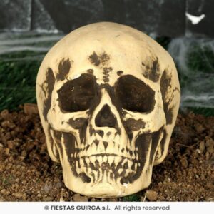 CALAVERA FOAM 22 CMS. 