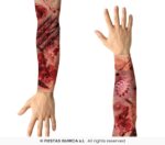 Set 2 mangas tela- efecto heridas zombie