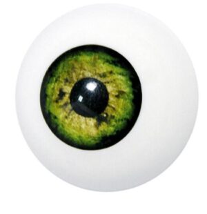 Ojo artificial verde 401 caracterizacion