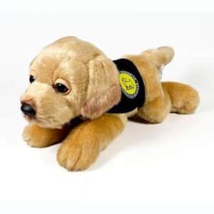 Peluche Perro Labrador Canela Con Chaleco 21cm.