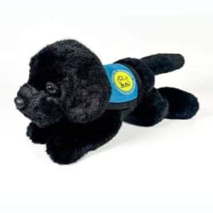 Peluche Perro Labrador Negro Con Chaleco 21cm.