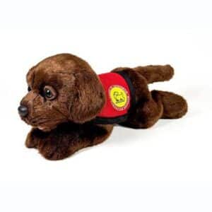 Peluche Perro Labrador Chocolate Con Chaleco 21cm.
